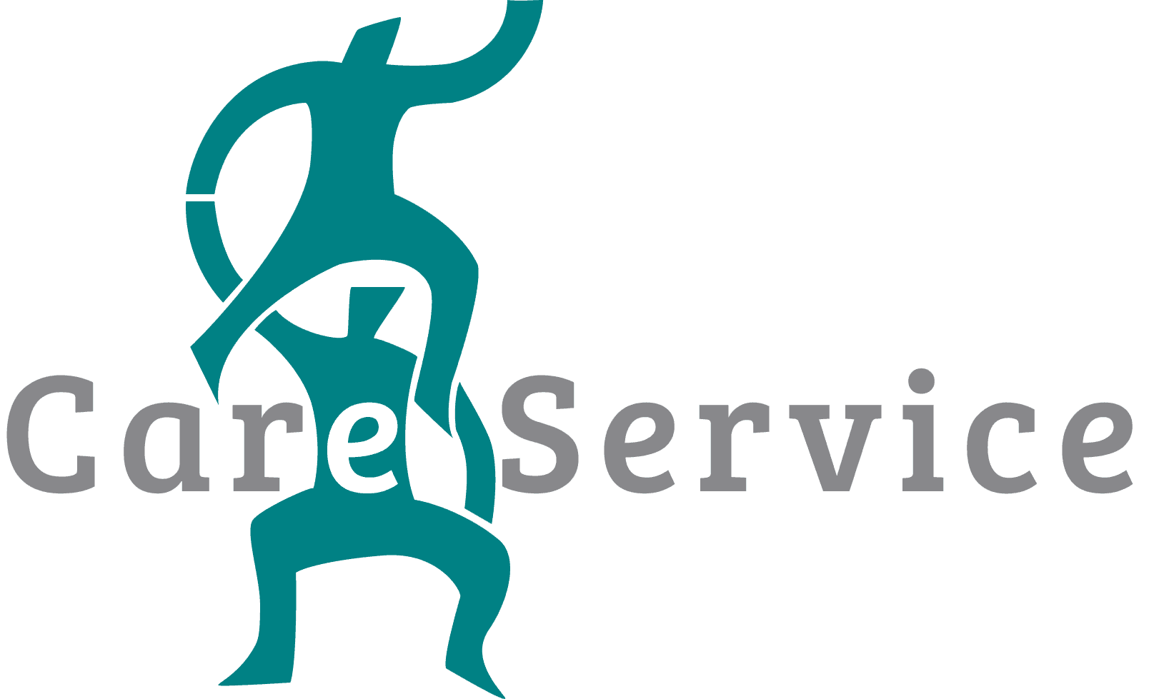 Care Service